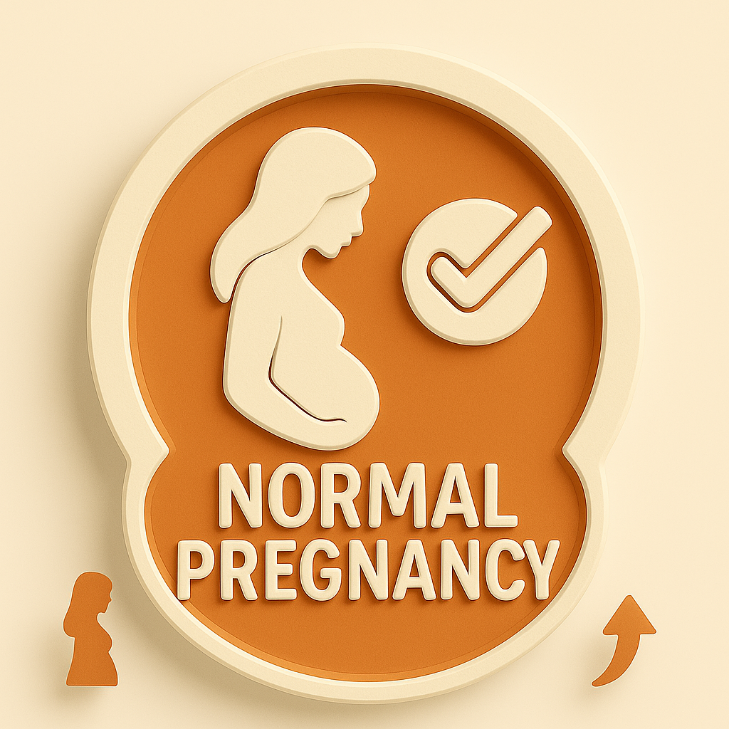 Normal Pregnancy